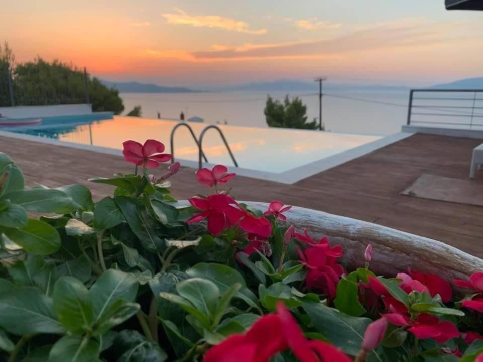 Vila Amalia Θεολόγος Εξωτερικό φωτογραφία